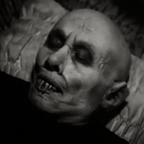 El ataúd cerrado en una cripta oscura